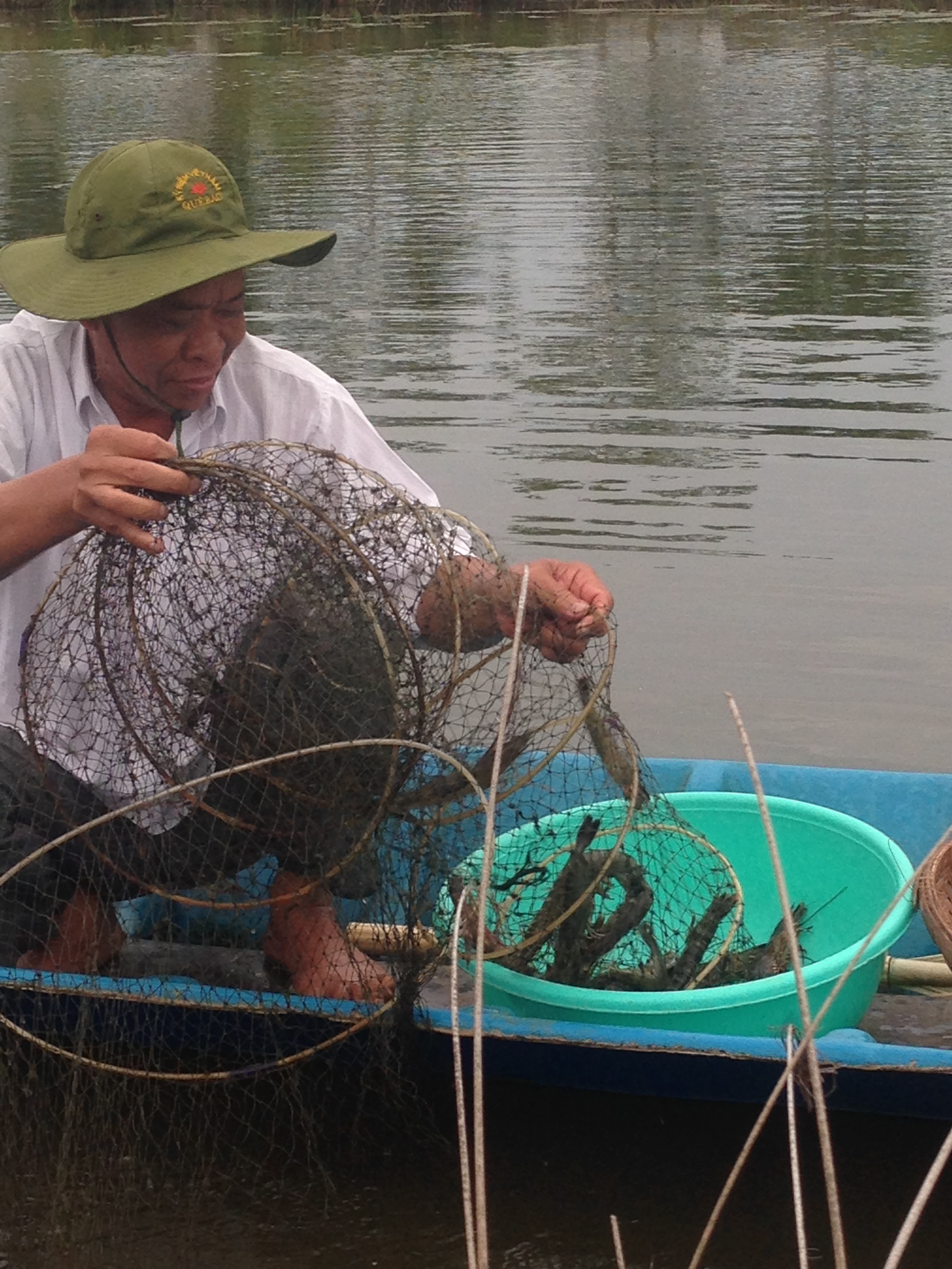 Vietnam Mermaid angelt Garnelen