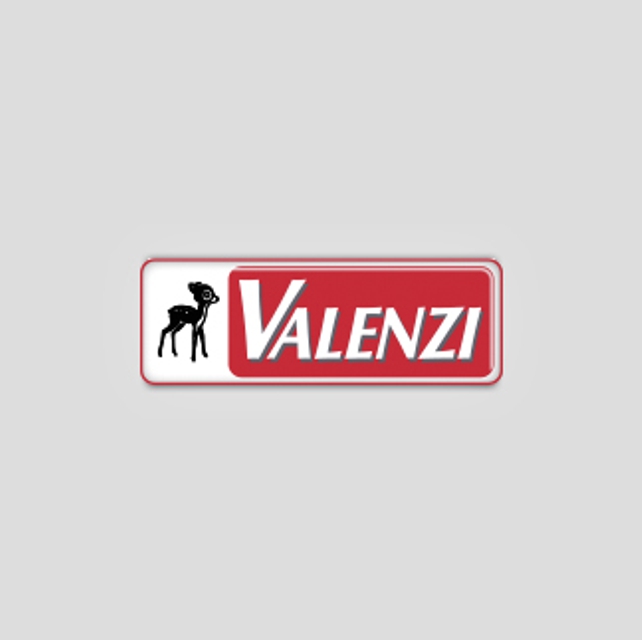 Valenzi