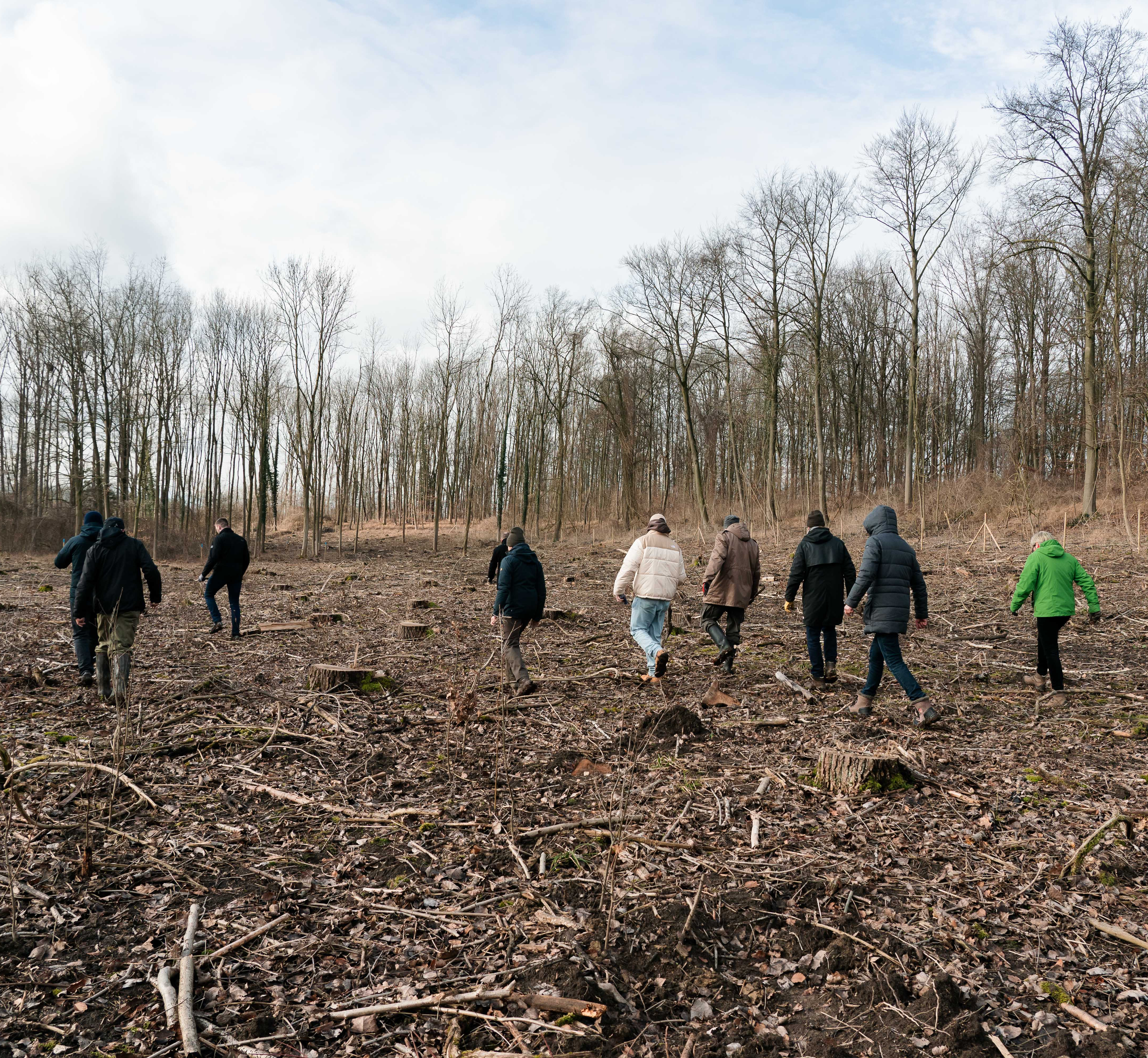 Unsere Klimaschutzprojekte